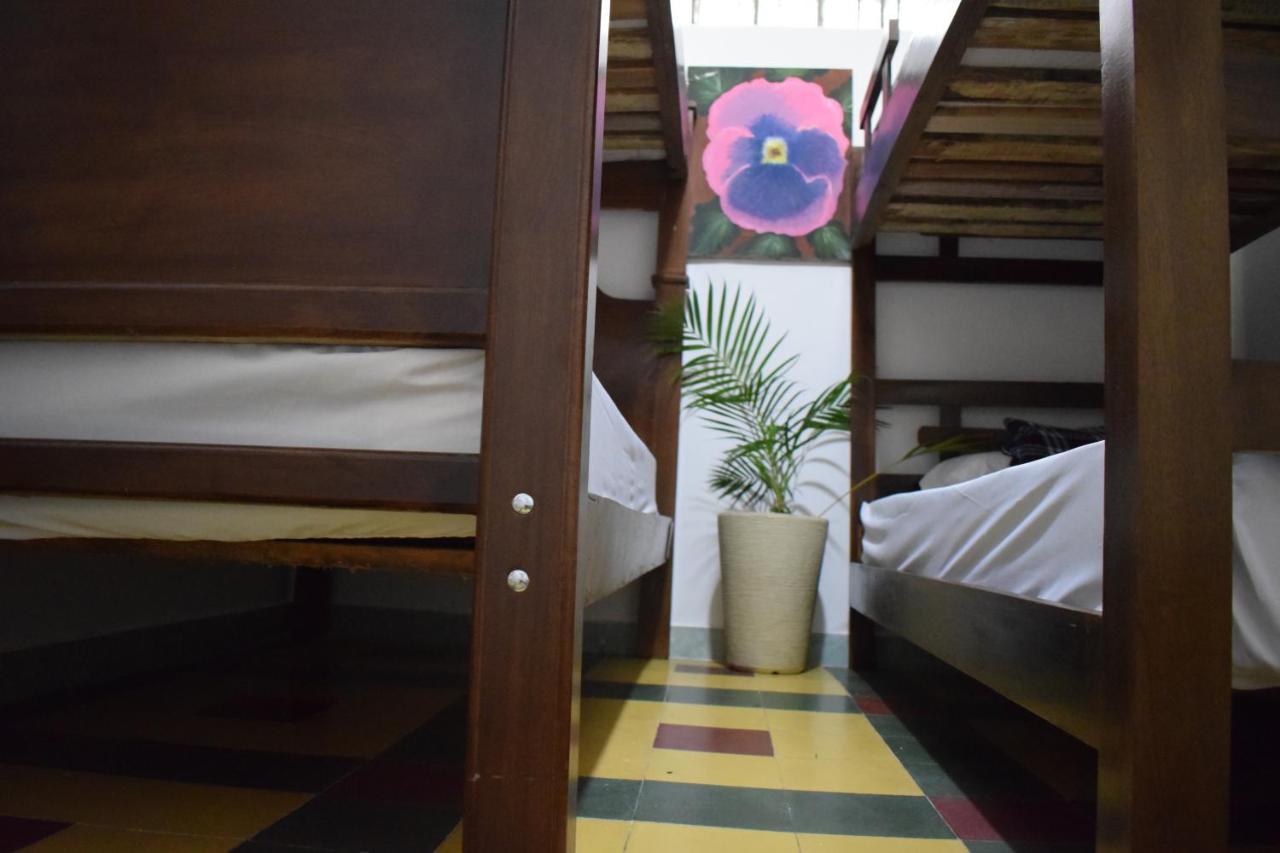 Serrania Hostal Medellín Dış mekan fotoğraf