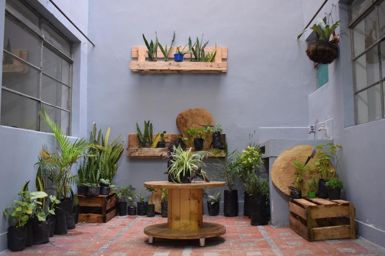 Serrania Hostal Medellín Dış mekan fotoğraf