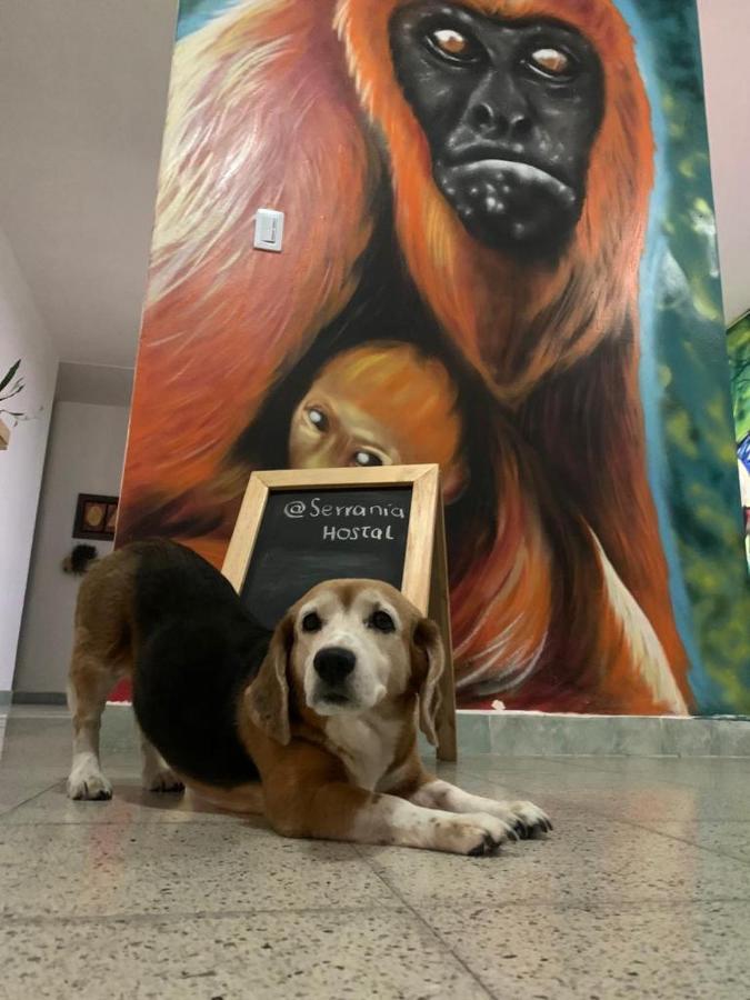 Serrania Hostal Medellín Dış mekan fotoğraf
