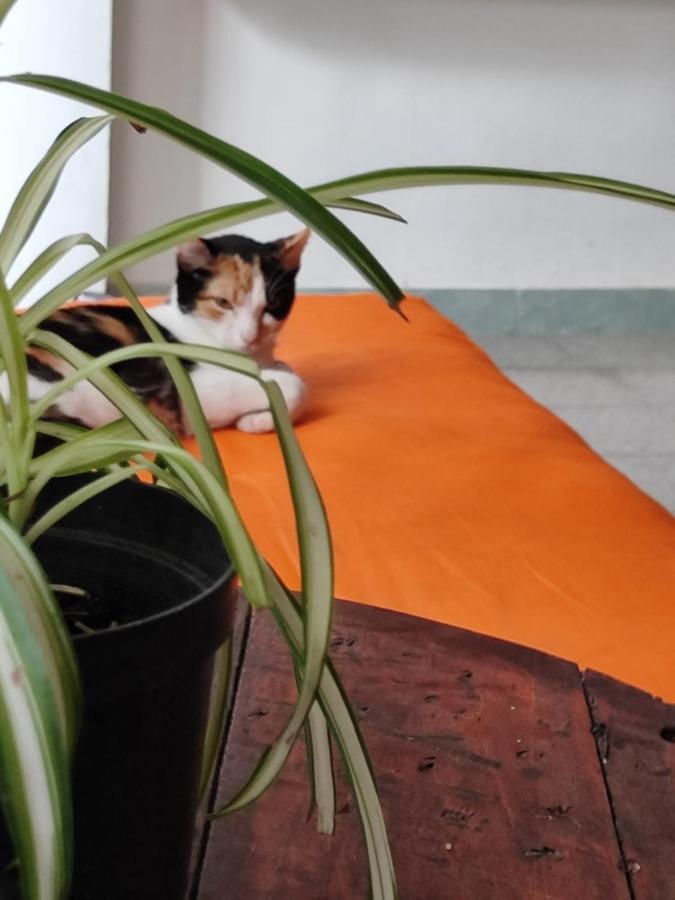 Serrania Hostal Medellín Dış mekan fotoğraf